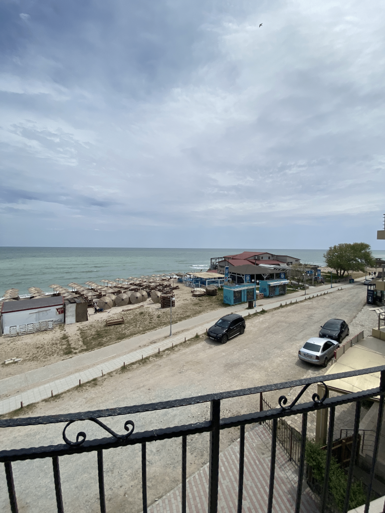 IMG_7736 copy