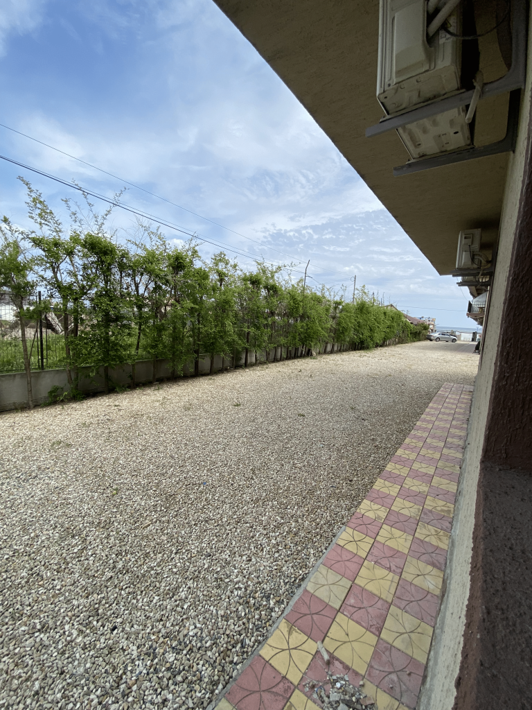 IMG_7751 copy